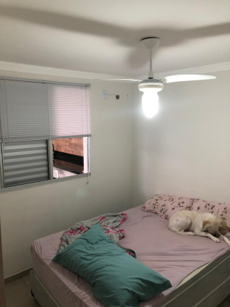 Imagem Apartamento com 2 Quartos à Venda, em Jardim Estrela D'alva - Bauru Imagem Apartamento com 2 Quartos à Venda, em Jardim Estrela D'alva - Bauru
