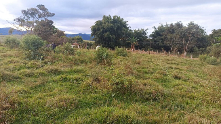 Imagem Fazenda à Venda, 100 m² em Estiva - Taubaté Imagem Fazenda à Venda, 100 m² em Estiva - Taubaté