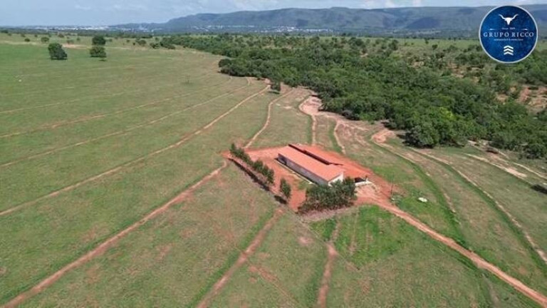 Imagem Fazenda à Venda, 150 m² em Zona Rural - Montes Claros De Goiás Imagem Fazenda à Venda, 150 m² em Zona Rural - Montes Claros De Goiás