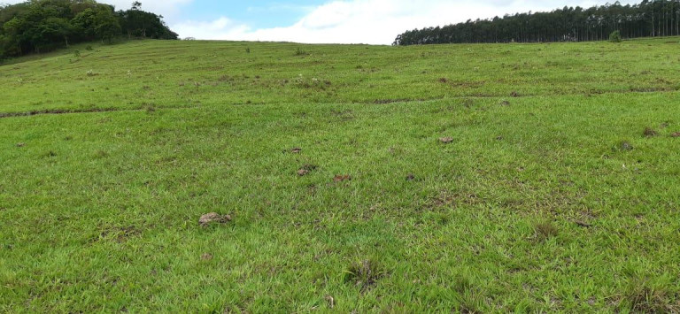 Imagem Chácara à Venda, 13 m² em Rural - Piraju Imagem Chácara à Venda, 13 m² em Rural - Piraju