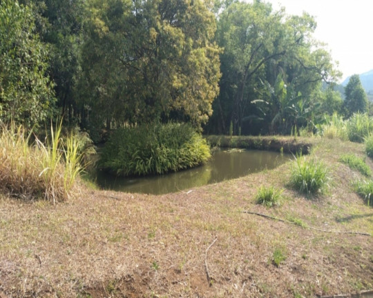 Imagem Imóvel com 2 Quartos à Venda, em Vila Rica - Feliz Imagem Imóvel com 2 Quartos à Venda, em Vila Rica - Feliz