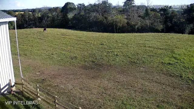 Imagem Imóvel com 4 Quartos à Venda, 206.533 m² em Riozinho De Baixo - Rebouças Imagem Imóvel com 4 Quartos à Venda, 206.533 m² em Riozinho De Baixo - Rebouças