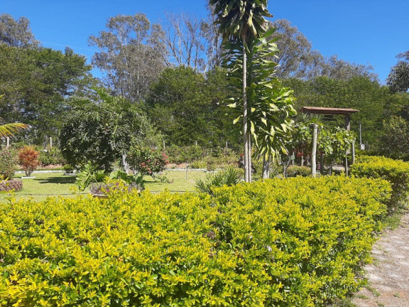 Imagem Imóvel com 5 Quartos à Venda, 20.000 m² em Medeiros - Itatiaiuçu Imagem Imóvel com 5 Quartos à Venda, 20.000 m² em Medeiros - Itatiaiuçu