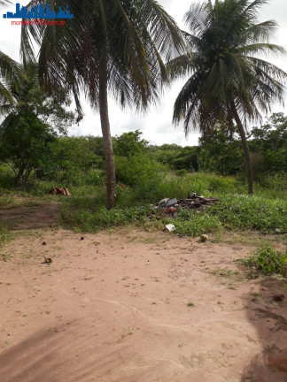 Imagem Chácara à Venda, 4 m² em Guajirú - São Gonçalo Do Amarante