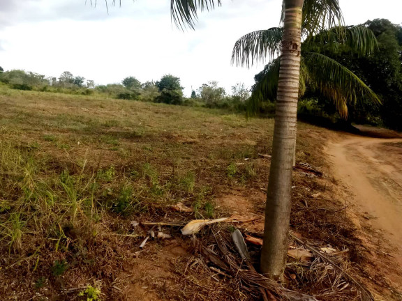 Imagem Chácara à Venda, 1.000 m² em Andradas Imagem Chácara à Venda, 1.000 m² em Andradas