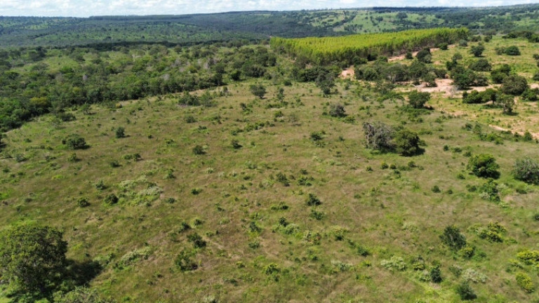 Imagem Fazenda à Venda, 80 m² em Zona Rural - Cachoeira De Goiás Imagem Fazenda à Venda, 80 m² em Zona Rural - Cachoeira De Goiás