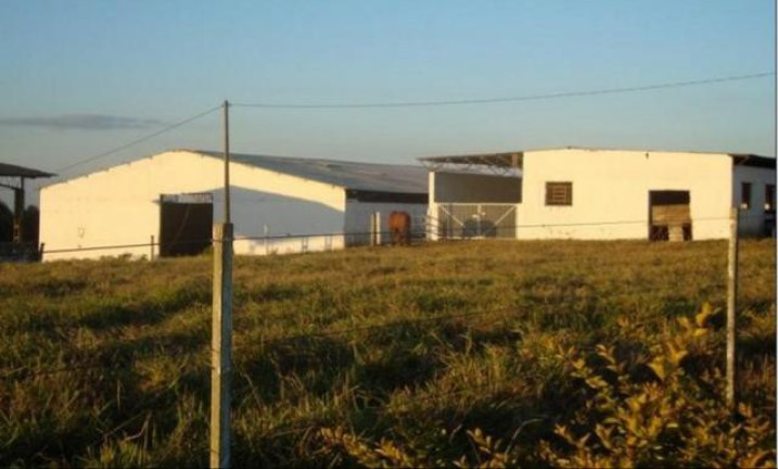 Imagem Fazenda à Venda, 98 m² em Serra De Botucatu - Bofete Imagem Fazenda à Venda, 98 m² em Serra De Botucatu - Bofete
