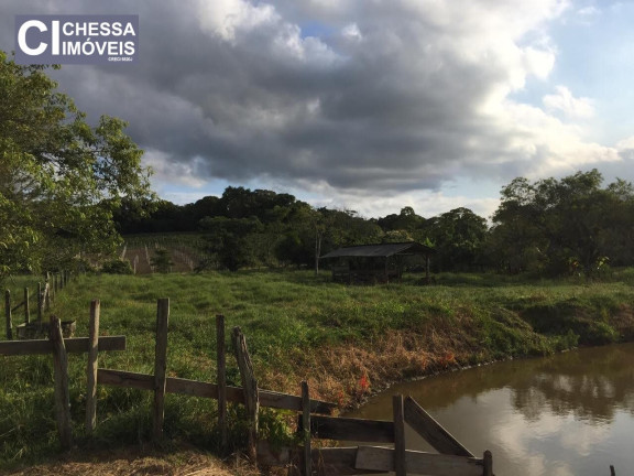 Imagem Terreno à Venda, 13.817 m² em Arraial Dos Cunhas - Itajaí Imagem Terreno à Venda, 13.817 m² em Arraial Dos Cunhas - Itajaí