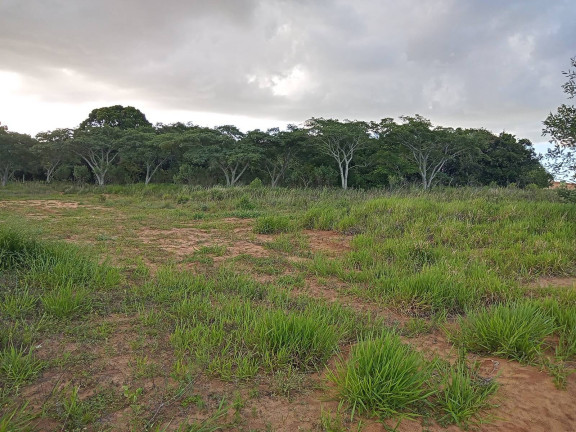 Imagem Chácara à Venda, 20.000 m² em águas Claras - Viamão
