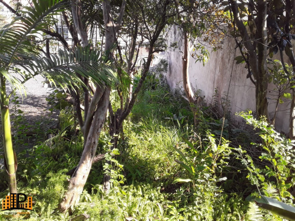 Imagem Terreno à Venda, 300 m² em Parque Dos Passaros - São Bernardo Do Campo Imagem Terreno à Venda, 300 m² em Parque Dos Passaros - São Bernardo Do Campo