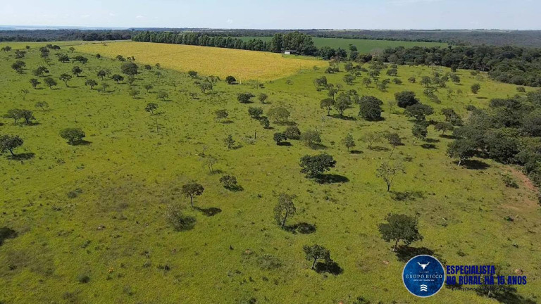 Imagem Chácara à Venda, 18 m² em Zona Rural - Bela Vista De Goiás Imagem Chácara à Venda, 18 m² em Zona Rural - Bela Vista De Goiás