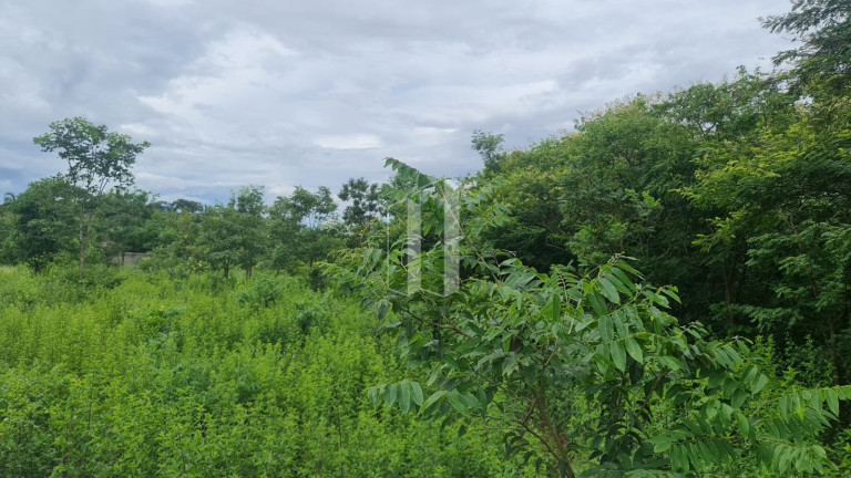 Imagem Terreno à Venda, 5.000 m² em Village Casa Grande - Goiânia Imagem Terreno à Venda, 5.000 m² em Village Casa Grande - Goiânia