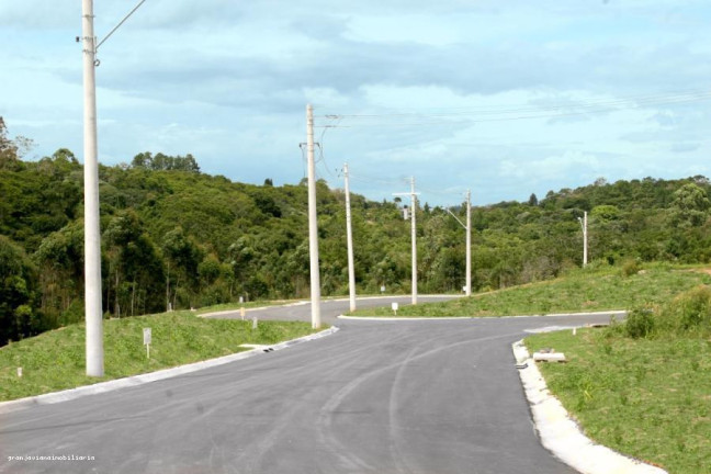 Imagem Terreno à Venda, 501 m² em Reserva Samambaia - Cotia Imagem Terreno à Venda, 501 m² em Reserva Samambaia - Cotia