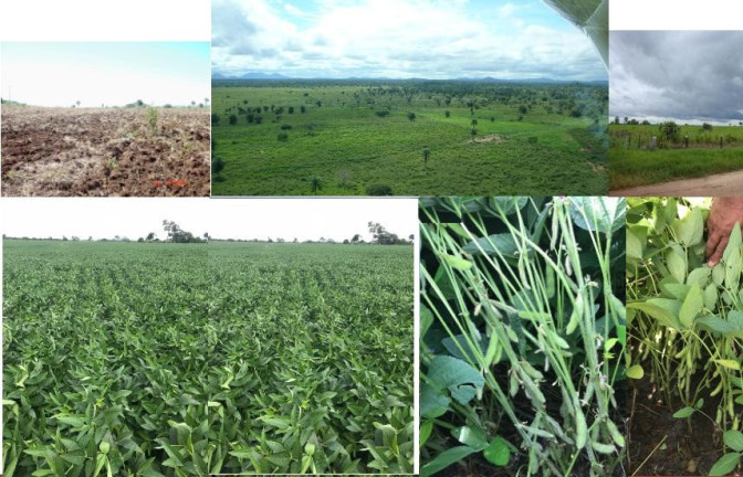 Imagem Fazenda à Venda, 4.800 m² em Rural - Porto Murtinho Imagem Fazenda à Venda, 4.800 m² em Rural - Porto Murtinho