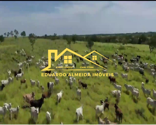 Imagem Imóvel à Venda,  em Barreira Da Onça - Arraias