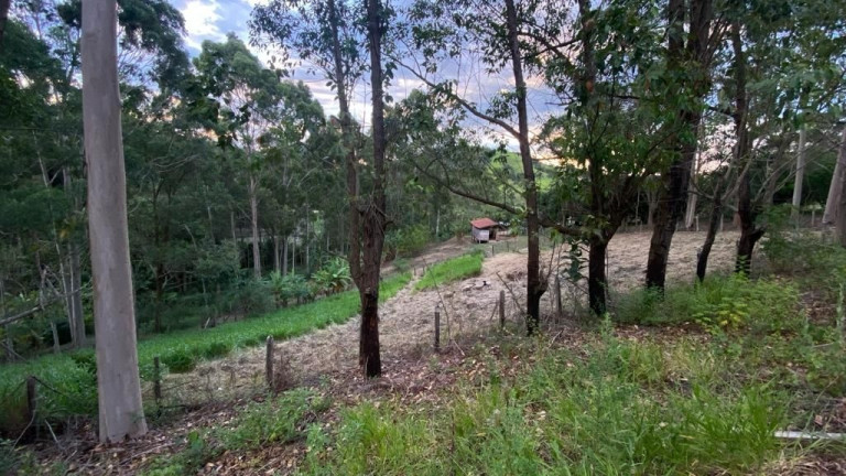 Imagem Chácara com 3 Quartos à Venda, 150 m² em Vila São Germano - Paraibuna