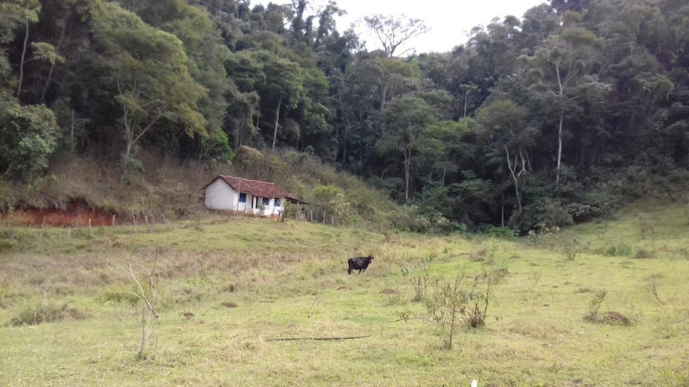 Imagem Imóvel com 7 Quartos à Venda, 400 m² em águas Claras - São José Do Vale Do Rio Preto Imagem Imóvel com 7 Quartos à Venda, 400 m² em águas Claras - São José Do Vale Do Rio Preto