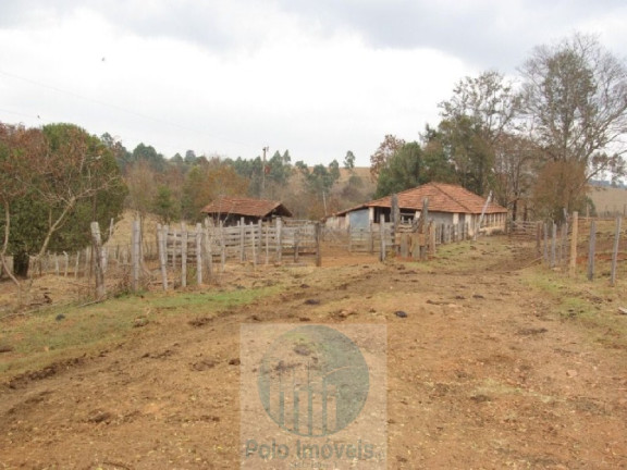 Imagem Imóvel com 4 Quartos à Venda, 1.694.000 m² em Zona Rural - Jacui Imagem Imóvel com 4 Quartos à Venda, 1.694.000 m² em Zona Rural - Jacui