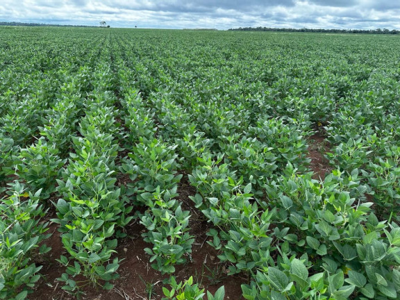 Imagem Fazenda à Venda, 9.700 m² em Rural - Pontes E Lacerda