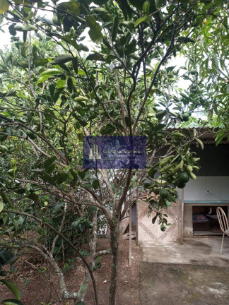 Imagem Casa com 3 Quartos à Venda, 330 m² em Boa Vista - São Pedro Da Aldeia