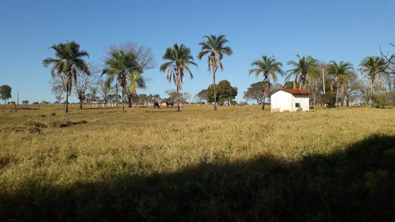 Imagem Fazenda à Venda, 314 m² em Zona Rural - Ituiutaba Imagem Fazenda à Venda, 314 m² em Zona Rural - Ituiutaba