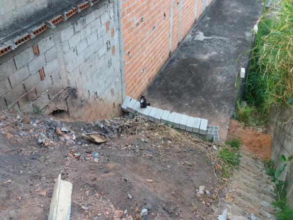 Imagem Terreno à Venda, 358 m² em Pirituba - São Paulo Imagem Terreno à Venda, 358 m² em Pirituba - São Paulo