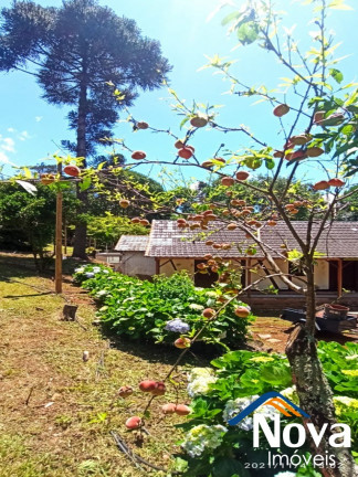 Imagem Imóvel à Venda, em Linha Pirajá - Nova Petrópolis Imagem Imóvel à Venda, em Linha Pirajá - Nova Petrópolis