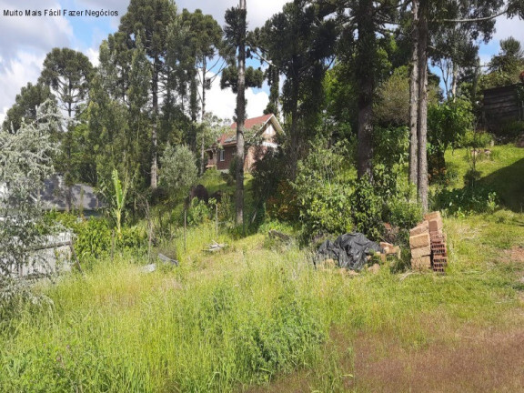 Imagem Casa com 2 Quartos à Venda, 133 m² em Recanto Do Sossego - Nova Petrópolis Imagem Casa com 2 Quartos à Venda, 133 m² em Recanto Do Sossego - Nova Petrópolis