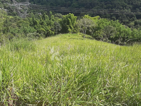 Imagem Chácara com 3 Quartos à Venda, 300 m² em Centro - Taubaté
