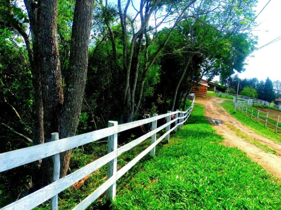 Imagem Chácara com 5 Quartos à Venda, 24.000 m² em Congonhas - Sarapuí Imagem Chácara com 5 Quartos à Venda, 24.000 m² em Congonhas - Sarapuí