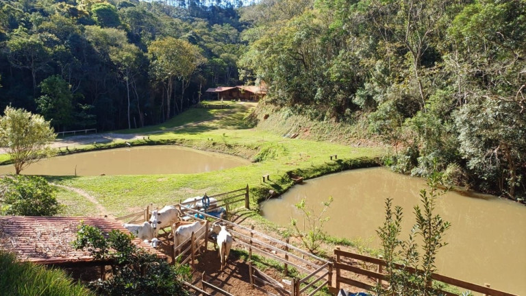 Imagem Chácara com 4 Quartos à Venda, 300 m² em Morro Azul - Paraibuna Imagem Chácara com 4 Quartos à Venda, 300 m² em Morro Azul - Paraibuna