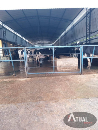 Fazenda à Venda, 109 m² em Centro - Pouso Alegre