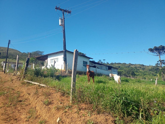 Imagem Chácara com 4 Quartos à Venda, 443 m² em Pitangueiras - Caldas Imagem Chácara com 4 Quartos à Venda, 443 m² em Pitangueiras - Caldas