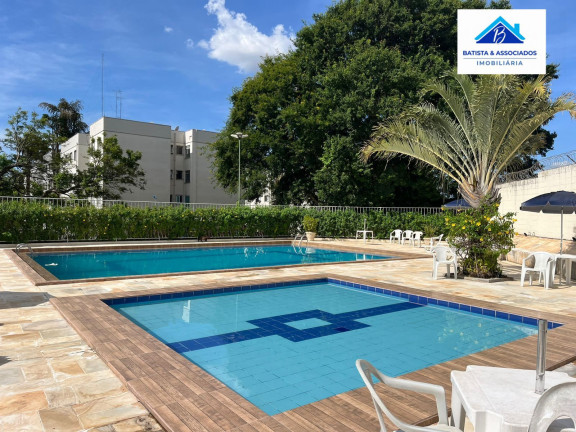 Imagem Apartamento com 2 Quartos à Venda, 55 m² em Jardim Miranda - Campinas Imagem Apartamento com 2 Quartos à Venda, 55 m² em Jardim Miranda - Campinas