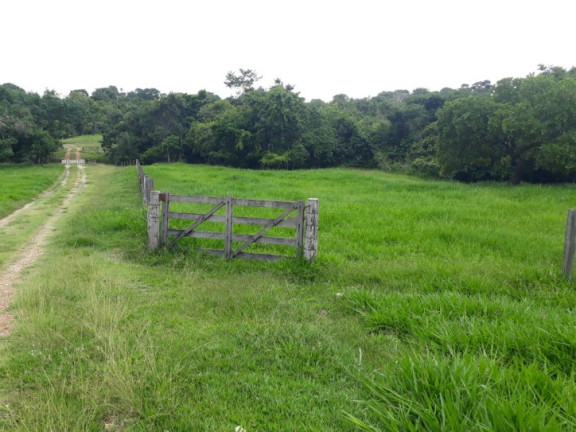 Imagem Chácara à Venda, 7 m² em Zona Rural - Novo Brasil Imagem Chácara à Venda, 7 m² em Zona Rural - Novo Brasil