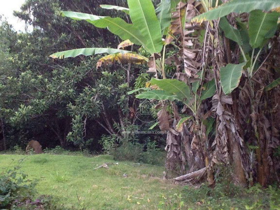 Imagem Fazenda à Venda ou Locação, 300 m² em Aranha - Brumadinho Imagem Fazenda à Venda ou Locação, 300 m² em Aranha - Brumadinho