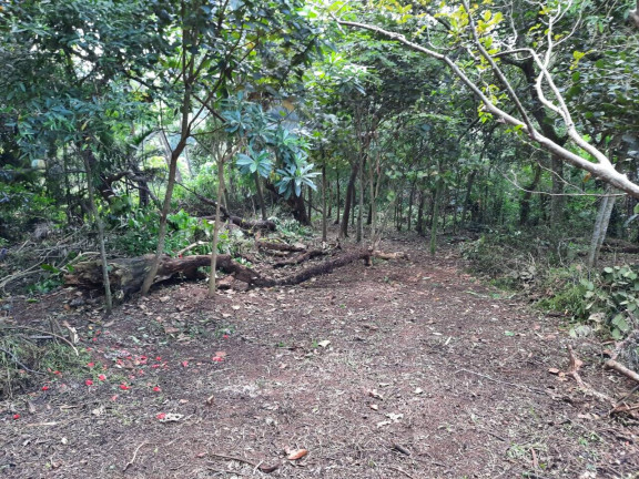 Imagem Terreno à Venda, 2.437 m² em Chácara Eliana - Cotia