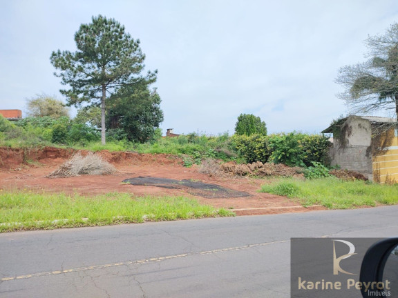 Terreno à Venda, 385 m² em Campestre - São Leopoldo