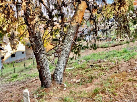 Imagem Terreno à Venda, 360 m² em Jardim Márcia - Campos Do Jordão Imagem Terreno à Venda, 360 m² em Jardim Márcia - Campos Do Jordão