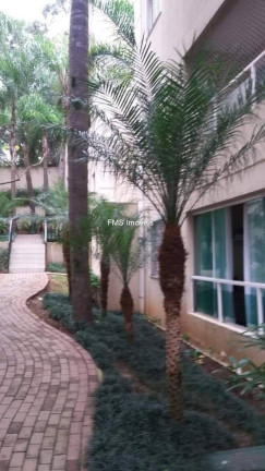 Imagem Imóvel com 2 Quartos à Venda, 53 m² em Paraisópolis - São Paulo Imagem Imóvel com 2 Quartos à Venda, 53 m² em Paraisópolis - São Paulo
