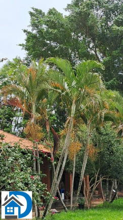 Imagem Chácara com 3 Quartos à Venda, 30 m² em Zona Rural - Porangaba Imagem Chácara com 3 Quartos à Venda, 30 m² em Zona Rural - Porangaba