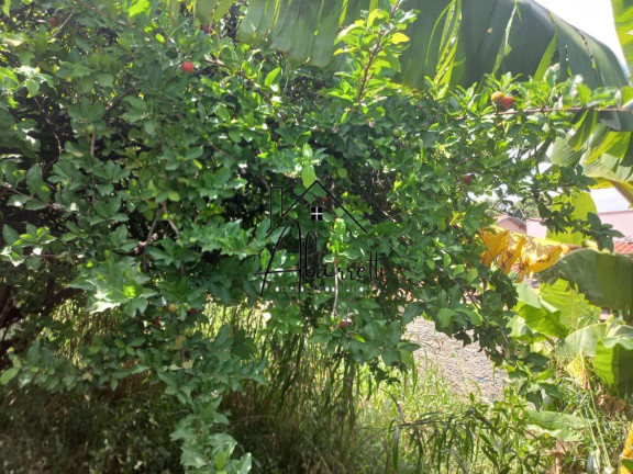 Imagem Terreno à Venda, 233 m² em Vila Rezende - Piracicaba