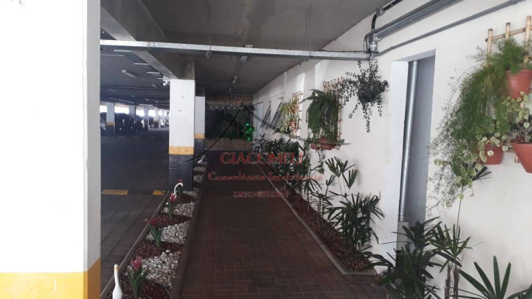 Imagem Apartamento com 1 Quarto à Venda, 33 m² em Jardim Santa Terezinha (zona Leste) - São Paulo Imagem Apartamento com 1 Quarto à Venda, 33 m² em Jardim Santa Terezinha (zona Leste) - São Paulo