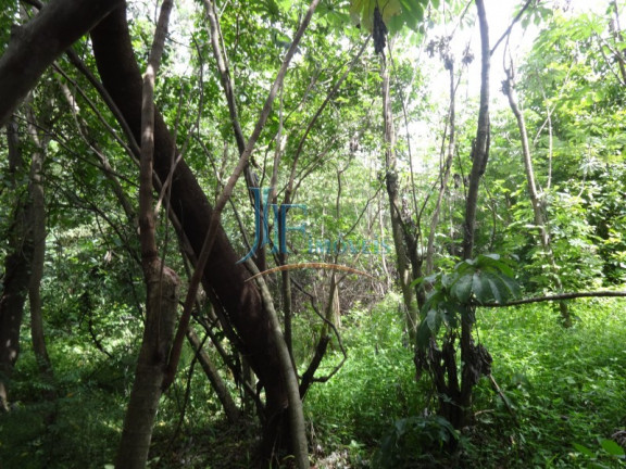Imagem Imóvel com 3 Quartos à Venda, 5.576 m² em Parque São Sebastião - Ribeirão Preto Imagem Imóvel com 3 Quartos à Venda, 5.576 m² em Parque São Sebastião - Ribeirão Preto