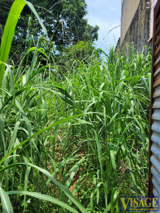 Imagem Terreno à Venda, 250 m² em Jardim Terras De São João - Jacareí Imagem Terreno à Venda, 250 m² em Jardim Terras De São João - Jacareí