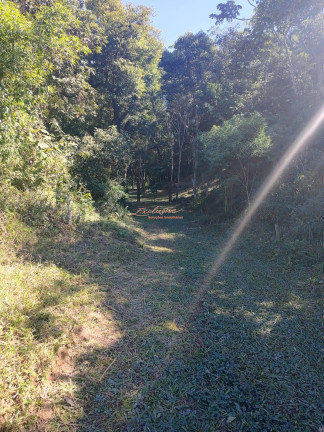 Imagem Terreno à Venda, 1.000 m² Imagem Terreno à Venda, 1.000 m²