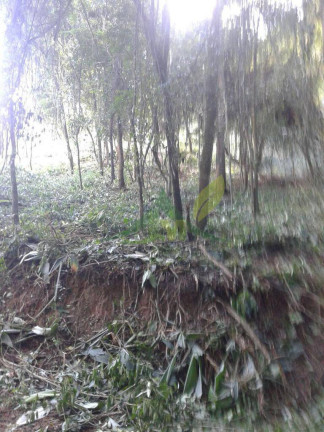 Imagem Terreno à Venda, 3.370 m² em Portão - Atibaia Imagem Terreno à Venda, 3.370 m² em Portão - Atibaia