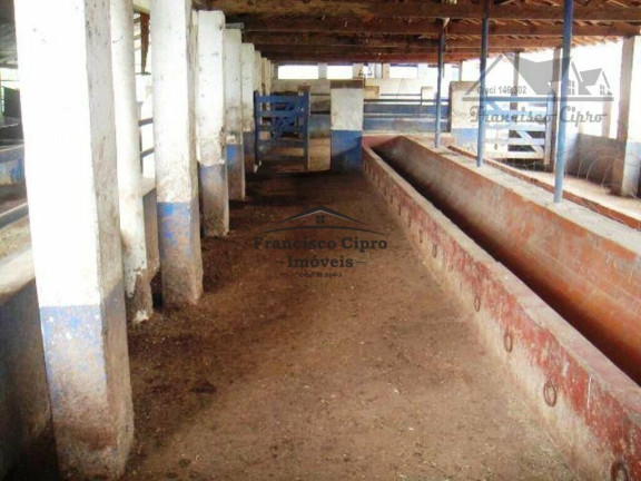 Imagem Imóvel com 2 Quartos à Venda, 3.751.000 m² em Vila São Miguel - Lorena Imagem Imóvel com 2 Quartos à Venda, 3.751.000 m² em Vila São Miguel - Lorena