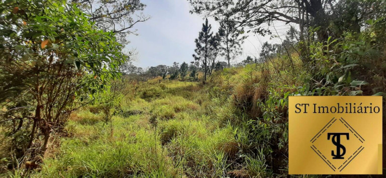 Imagem Chácara com 3 Quartos à Venda, 72.000 m² em Estância Santa Maria Do Portão - Atibaia