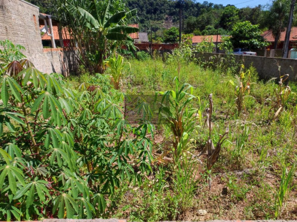 Imagem Terreno à Venda, 261 m² em Jardim Santo Antonio - Tomazina